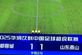 爱游戏官网 -成都蓉城迎足总杯关键赛，转会期强势反弹，引发热议，球队文化再被提及的简单介绍